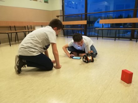 53387380_532442800611566_682977088000491520_o